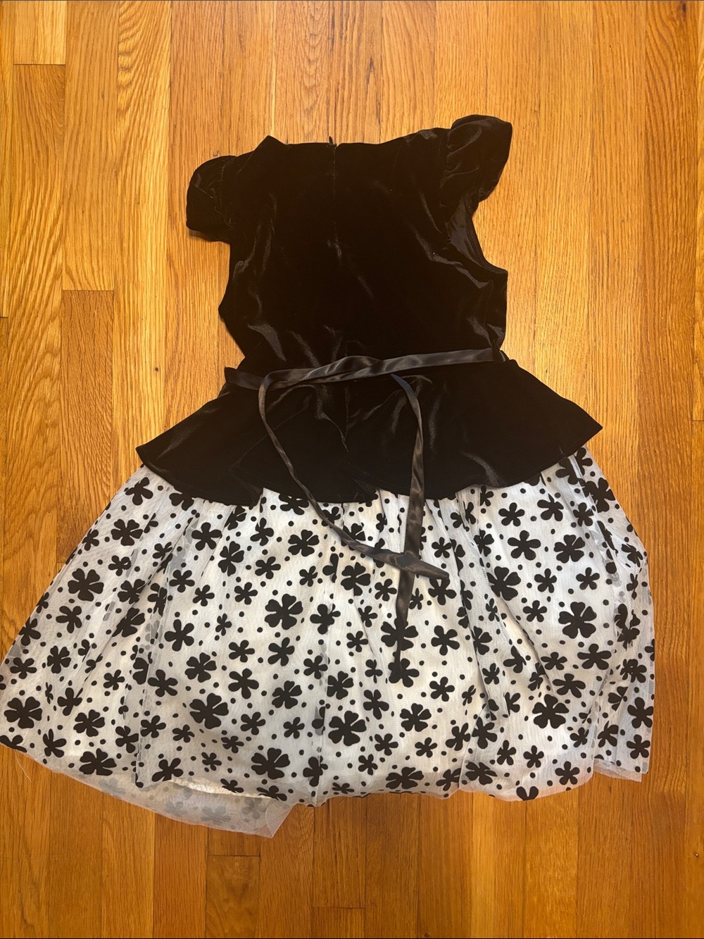Badgley Mischka Black Velvet Peplum Dress with White Floral Skirt - Picture 6 of 6